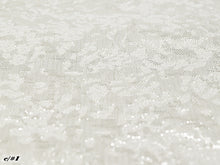 画像をギャラリービューアに読み込む, CS1172 Glacon