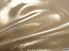 Load image into Gallery viewer, CS1173 Glare Organdy