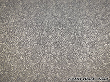 画像をギャラリービューアに読み込む, CS1165 Martinic