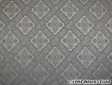 画像をギャラリービューアに読み込む, CS1181 Patra