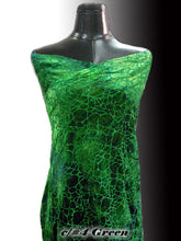 画像をギャラリービューアに読み込む, CS1005 Diabolo