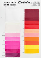 Load image into Gallery viewer, CS1017 2WAY Enamel Sample Book