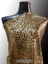 画像をギャラリービューアに読み込む, CS1031/1031E 2WAY Jurassic Form