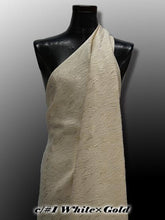 画像をギャラリービューアに読み込む, CS1169 Flame