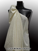 画像をギャラリービューアに読み込む, CS1172 Glacon