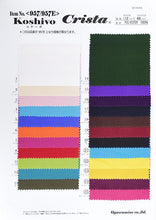 Load image into Gallery viewer, CS957/957E Cochibo